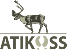 Atikoss