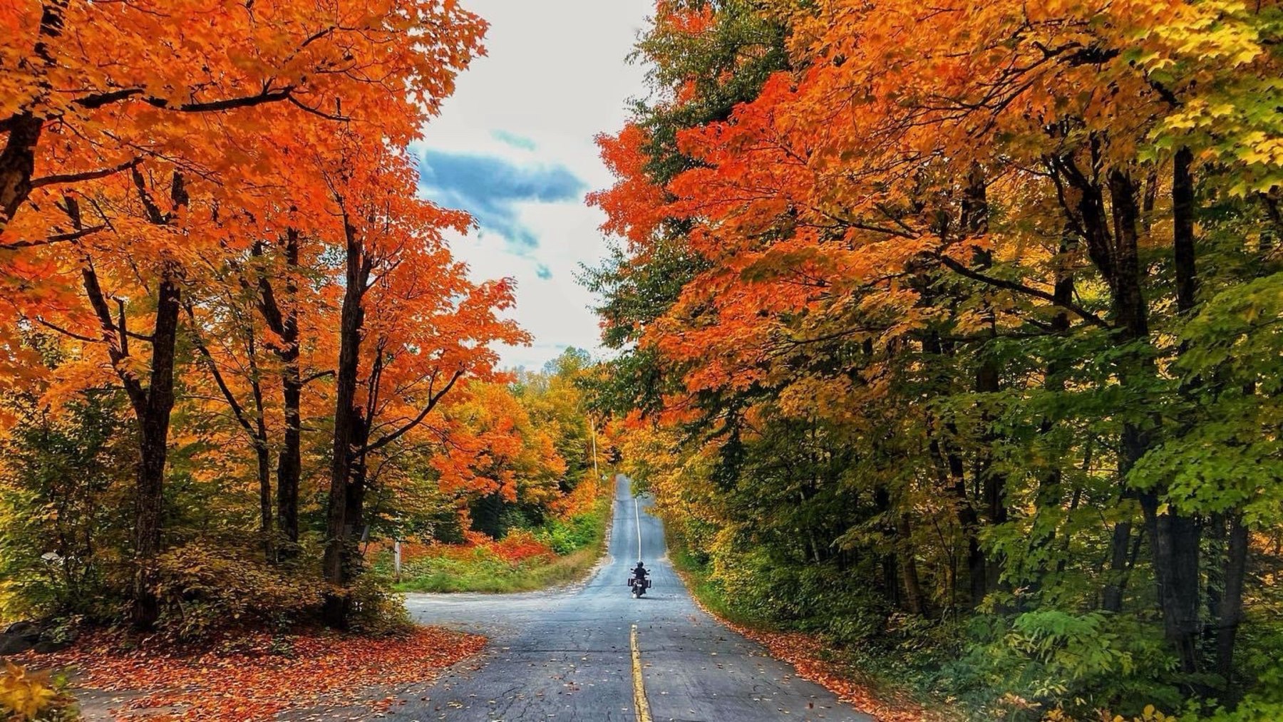 Une route bordée d’érables aux couleurs d’automne dans les Laurentides